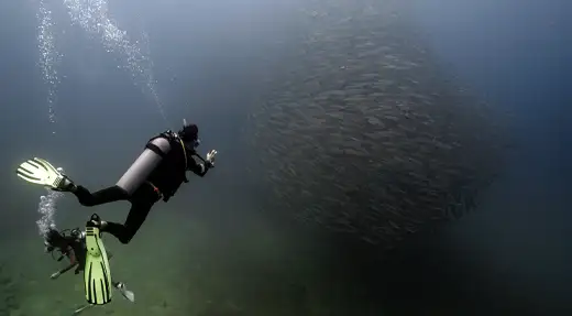 SSI Advanced Open Water student diving toward a large school of fish during a training dive with Echo Divers Koh Tao.