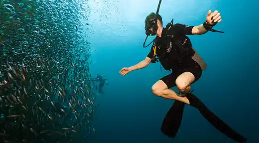 SSI Advanced Open Water student hovering mid-water beside a large school of fish during a training dive with Echo Divers Koh Tao.