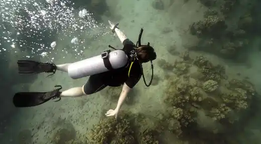 Scuba diver hovering with perfect buoyancy above a coral reef in Koh Tao