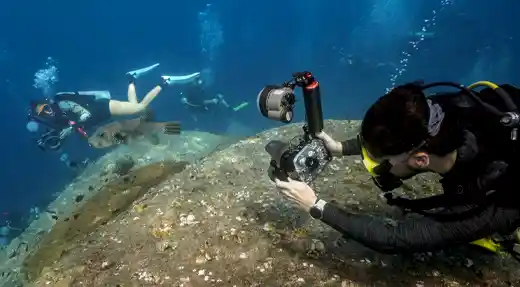 Underwater photography students photographing a pufferfish during a pro level course at Echo Divers Koh Tao