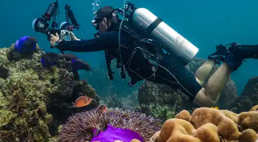 Scuba diver calmly photographing coral reef and marine life in Koh Tao with Echo Divers Koh Tao