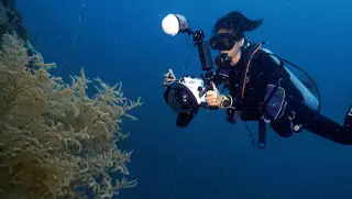 Diver using an underwater camera and strobes during the SSI Underwater Photo & Video Specialty course at Echo Divers Koh Tao.