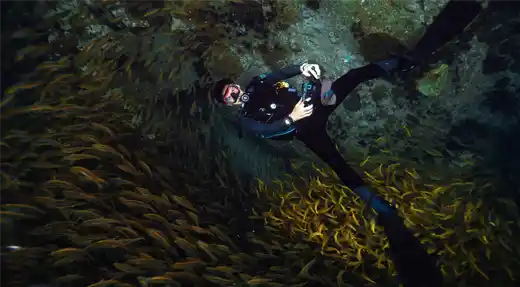  Diver surrounded by a dense cloud of schooling fish, photographed underwater by Liquid Light Studio for Echo Divers Koh Tao. 