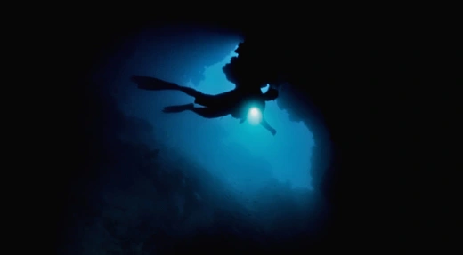 Scuba diver silhouetted against blue light using a torch during a night dive with Echo Divers Koh Tao