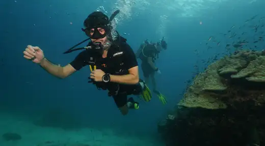 Echo Divers Koh Tao fun divers cruising along a coral reef with schooling reef fish, Koh Tao, Thailand
